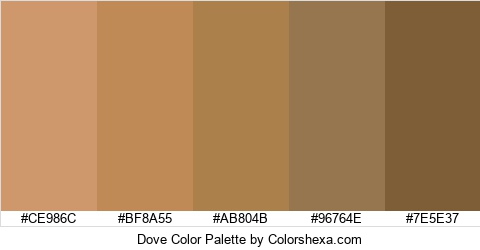 Dove Color Colors Logo