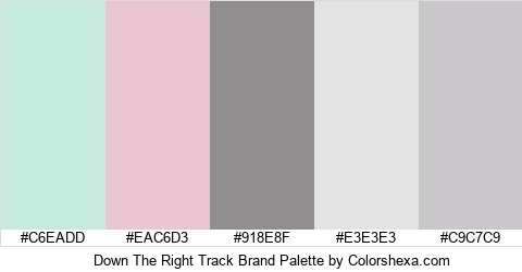 Down The Right Track Brand Colors Logo