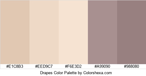 Drapes Color Colors Logo
