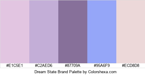 Dream State Brand Colors Logo