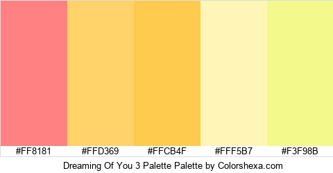 Dreaming Of You 3 Palette Colors Logo