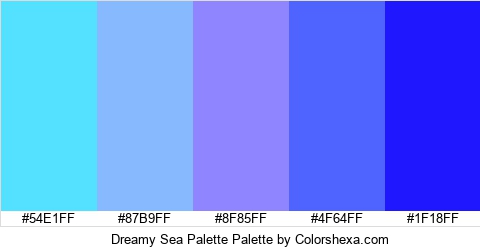 Dreamy Sea Palette Colors Logo
