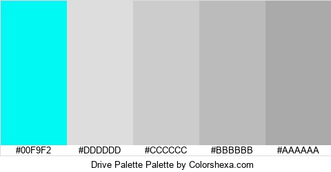 Drive Palette Colors Logo