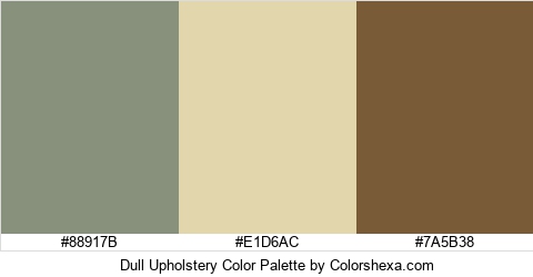 Dull Upholstery Color Colors Logo