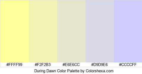 During Dawn Color Colors Logo