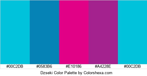 Dzseki Color Colors Logo