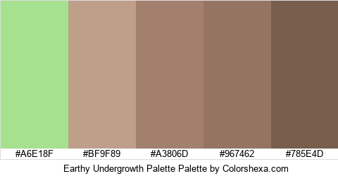 Earthy Undergrowth Palette Colors Logo