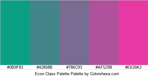 Econ Class Palette Colors Logo
