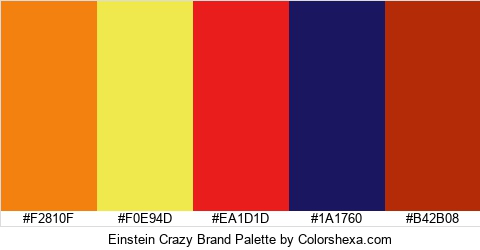 Einstein Crazy Brand Colors Logo