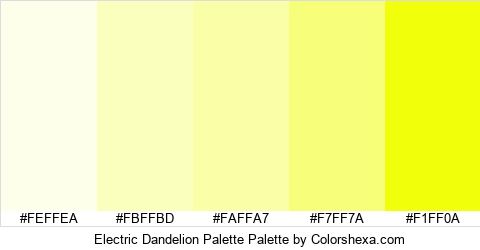 Electric Dandelion Palette Colors Logo
