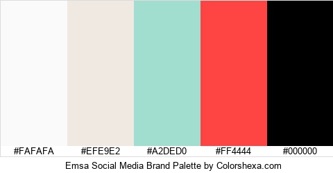 Emsa Social Media Brand Colors Logo