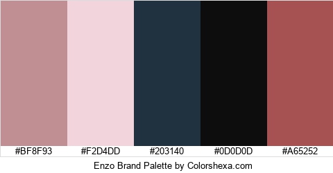 Enzo Brand Colors Logo