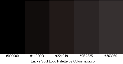 Ericks Soul Logo Colors Logo