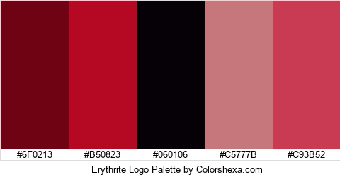 Erythrite Logo Colors Logo