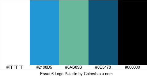 Essai 6 Logo Colors Logo