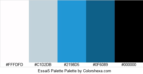 Essai5 Palette Colors Logo