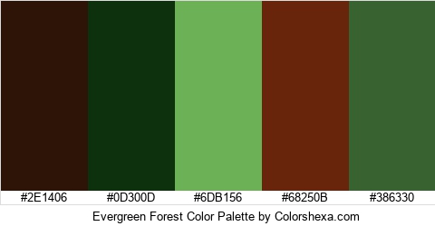 Evergreen Forest Color Colors Logo