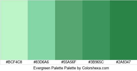 Evergreen Palette Colors Logo