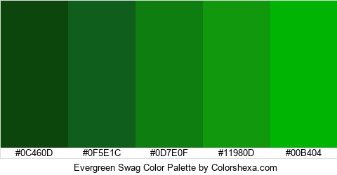 Evergreen Swag Color Colors Logo