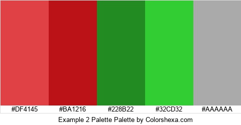 Example 2 Palette Colors Logo