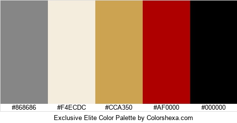 Exclusive Elite Color Colors Logo
