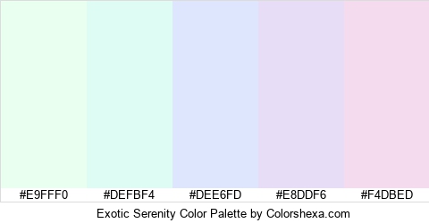 Exotic Serenity Color Colors Logo