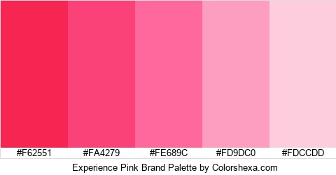 Experience Pink Brand Colors Logo