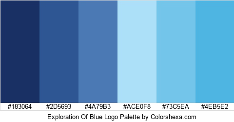 Exploration Of Blue Logo Colors Logo