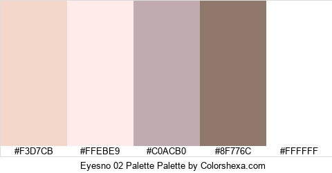 Eyesno 02 Palette Colors Logo