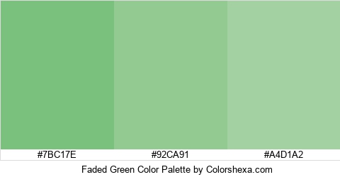 Faded Green Color Colors Logo