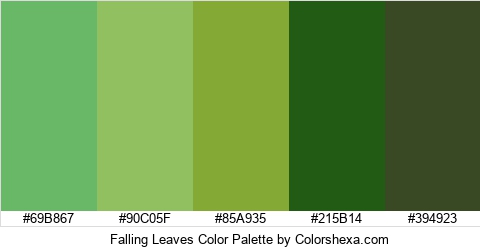 Falling Leaves Color Colors Logo