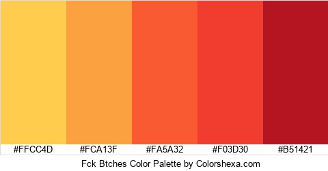 Fck Btches Color Colors Logo