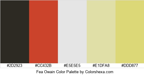 Fea Owain Color Colors Logo