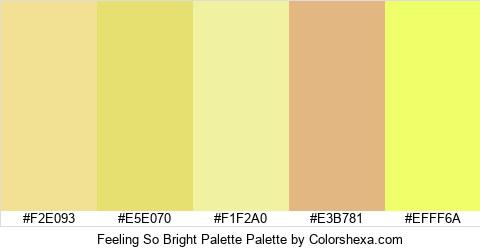 Feeling So Bright Palette Colors Logo