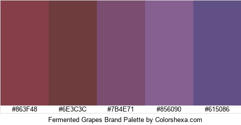 Fermented Grapes Brand Colors Logo