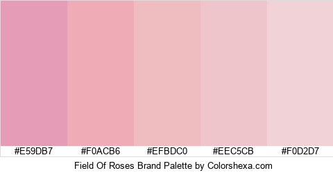 Field Of Roses Brand Colors Logo