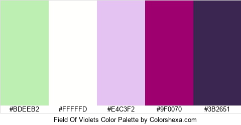 Field Of Violets Color Colors Logo