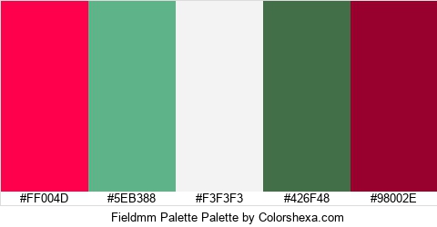 Fieldmm Palette Colors Logo