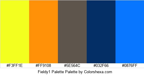 Fieldy1 Palette Colors Logo