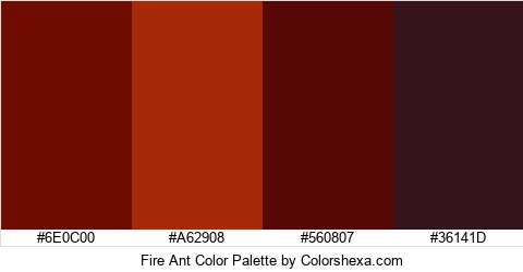 Fire Ant Color Colors Logo