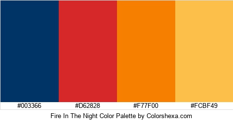 Fire In The Night Color Colors Logo