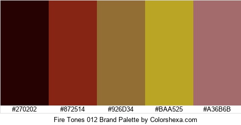 Fire Tones 012 Brand Colors Logo