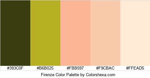 Firenze Color Colors Logo