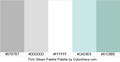 Firm Gleam Palette Colors Logo