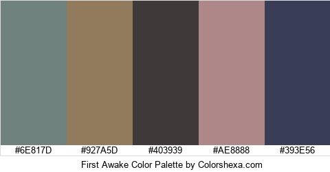 First Awake Color Colors Logo