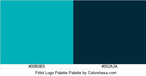 Fitbit Logo Palette Colors Logo