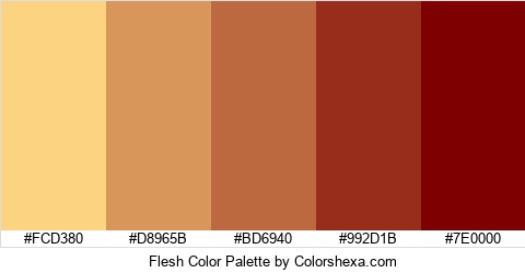 Flesh Color Colors Logo