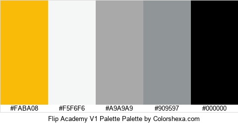 Flip Academy V1 Palette Colors Logo