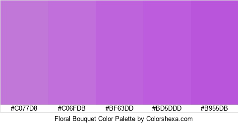 Floral Bouquet Color Colors Logo