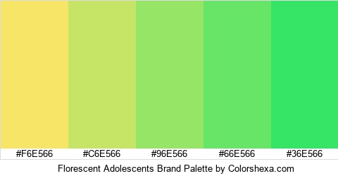 Florescent Adolescents Brand Colors Logo